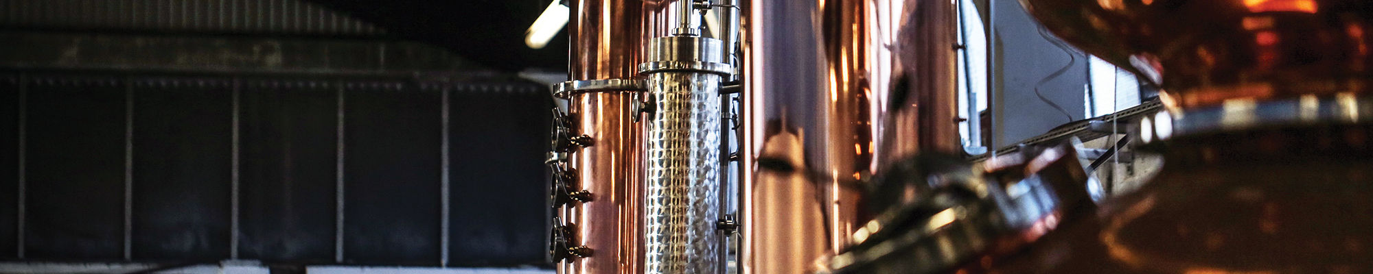 Terms and Conditions