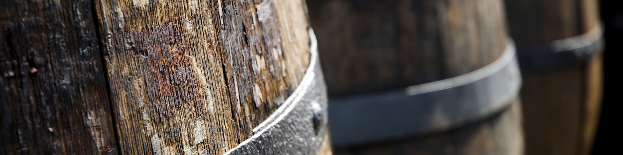 Dates for the Diary 2024